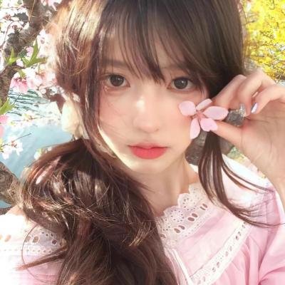 公主复仇者